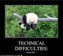 panda-has-technical-difficulties