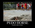 pedo-horse