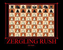 zergling-rush
