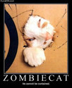 zombie-cat2