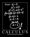calculus-division-by-zero