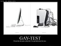 gay-test