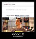 google-knows-sheldon-cooper