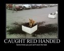 redhanded