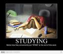 studying-dying