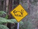 caution-strange-creatures-sign
