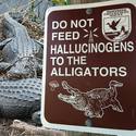 do-not-feed-hallucinogens-to-the-alligators