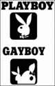 gayboy