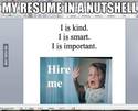 resume-in-a-nutshell
