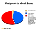 what-people-do-when-it-snows-2