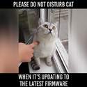 cat-is-updating-firmware-do-not-disturb