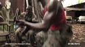 FUNNY-Ape-Goin-Wild-With-An-Ak-47-In-West-Africa