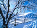Snowy-Ranch-Western-Colorado