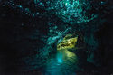 glowworm-caves-waitomo-new-zealand