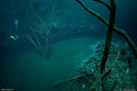 underwater-river-cenote-angelita-mexico