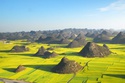 rapeseed-fields-in-luoping-china