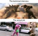 interview-vs-reality