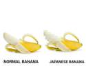 japanese-banana