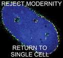 reject-modernity-get-back-to-single-cell