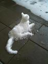 snowcat
