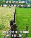 the-grass-is-always-greener