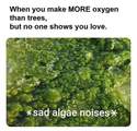 when-you-make-more-oxygen-than-trees