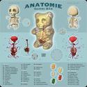 anatomie-gummi-bar