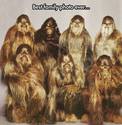chewbaccas-family