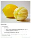 obelen-limon