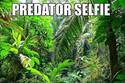 predator-selfie
