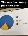 the-most-accurate-pie-chart-ever