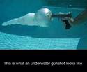 underwater-gunshot