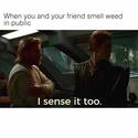 when-both-smell-weed-in-public