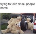 take drunk people home