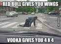 vodka gives you 4x4