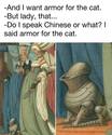 armor for the cat
