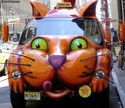 meow car