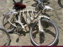 skull bike