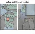 adam and eve cat version