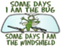 bug windshield