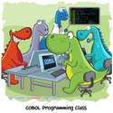 cobol programming class