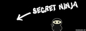 secret ninja