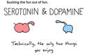 serotonin and dopamine fun