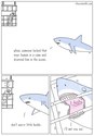 shark save the poor human