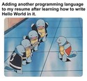 adding program languages