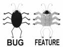 bug i feature