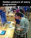 golden posture of every programmer