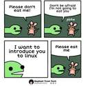 i want to introduce you to linux