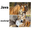 java vs javascript tiger