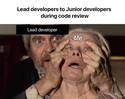 lead developer vs junior developers